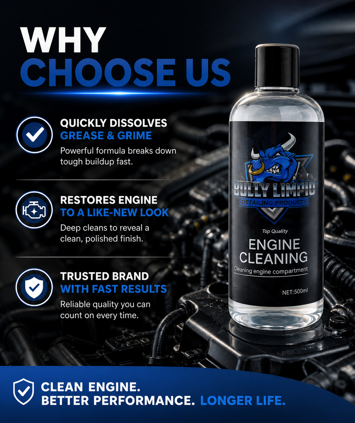 Bully Engine Cleaning