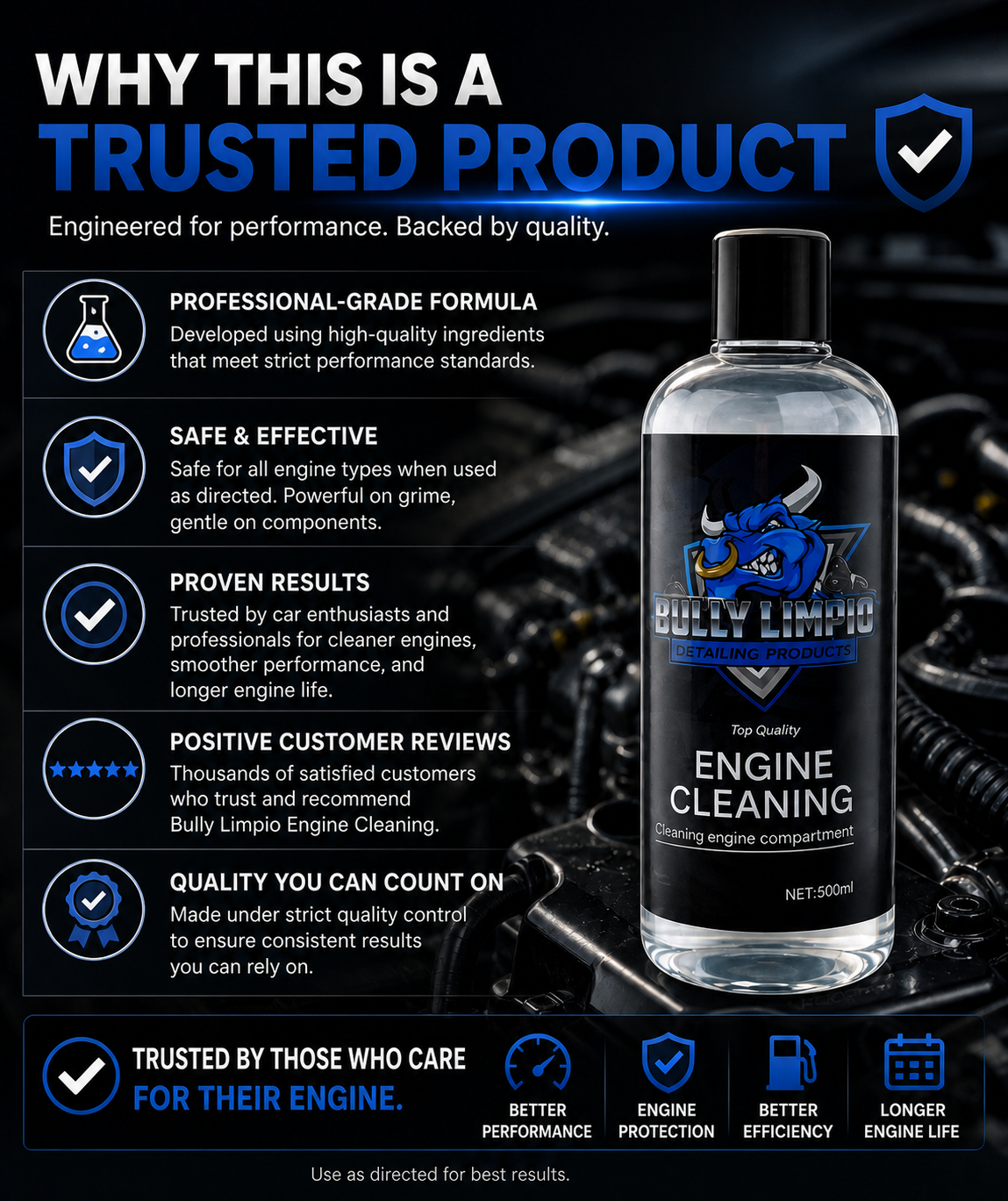 Bully Engine Cleaning