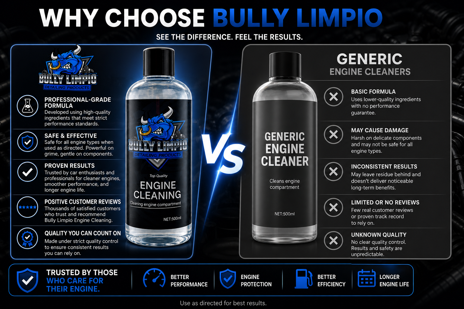 Bully Engine Cleaning