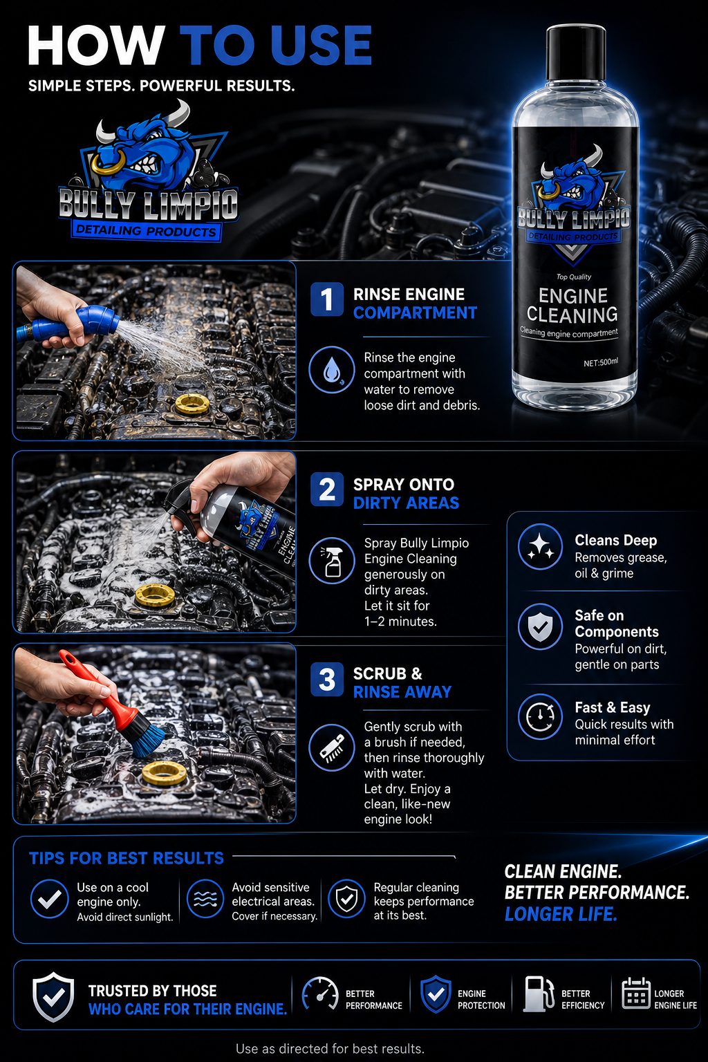 Bully Engine Cleaning
